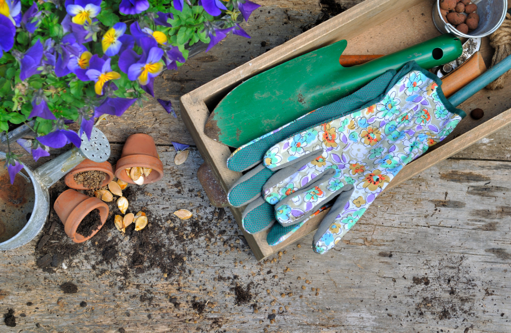 Cum să folosești folia de mulcire în grădină: Alegerea culorii potrivite
